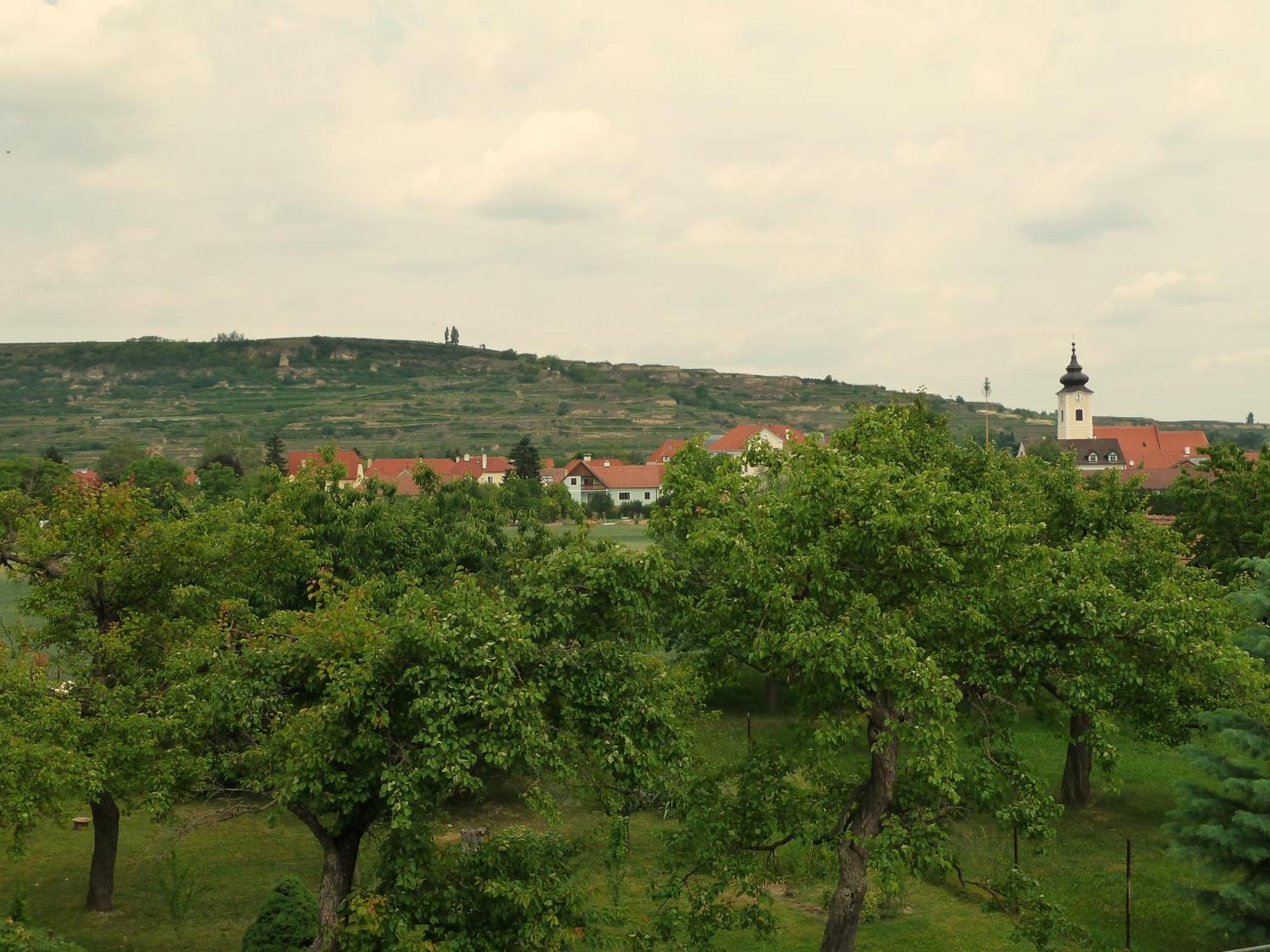 Ferienwohnung Weinbergblick Rohrendorf bei Krems Екстериор снимка
