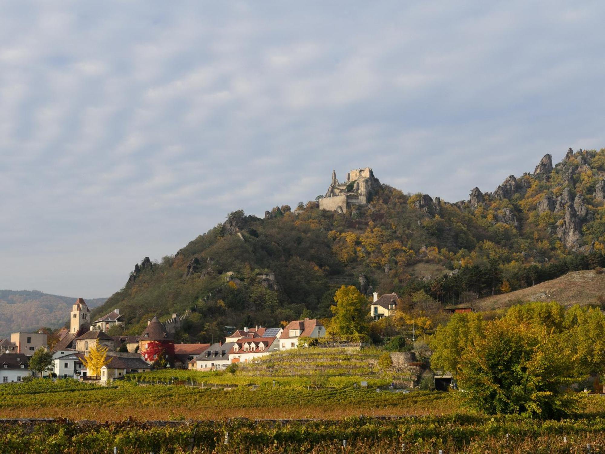 Ferienwohnung Weinbergblick Rohrendorf bei Krems Екстериор снимка