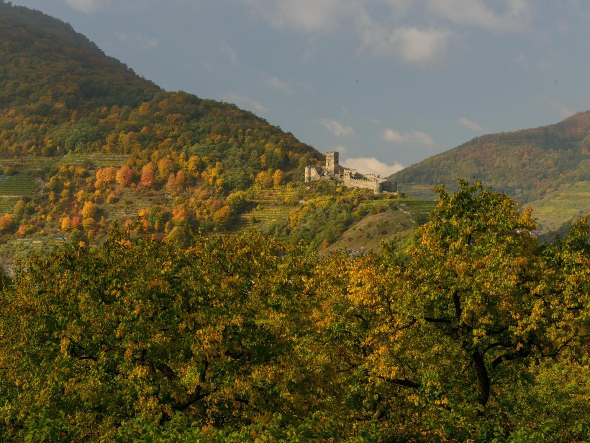 Ferienwohnung Weinbergblick Rohrendorf bei Krems Екстериор снимка