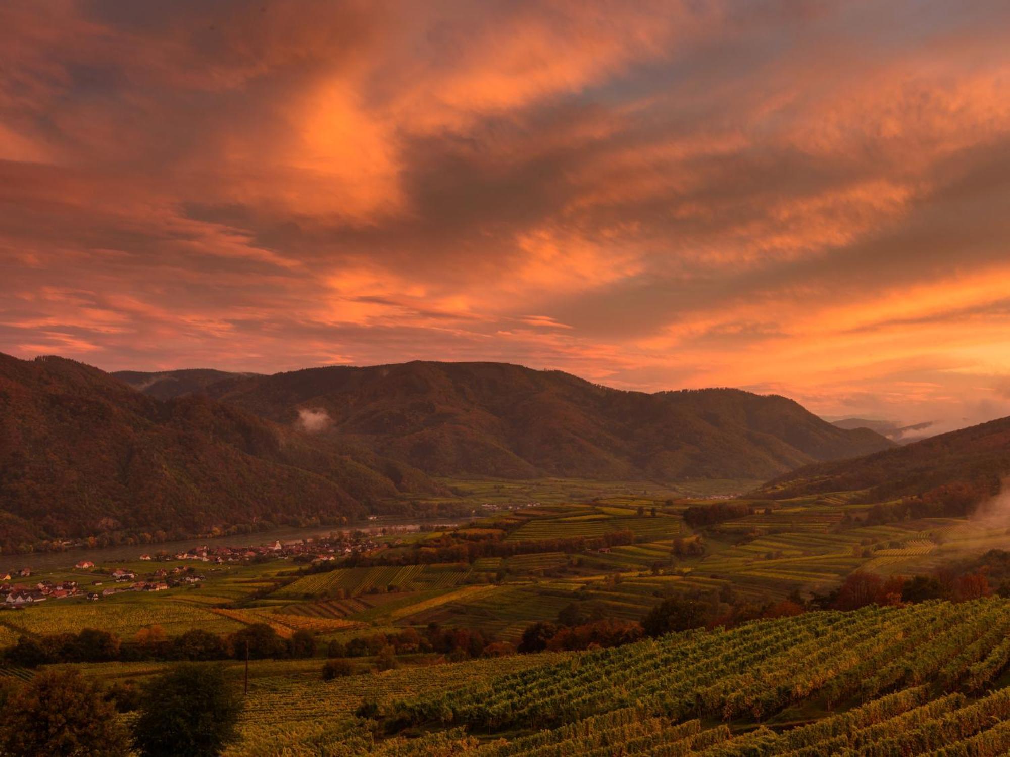 Ferienwohnung Weinbergblick Rohrendorf bei Krems Екстериор снимка