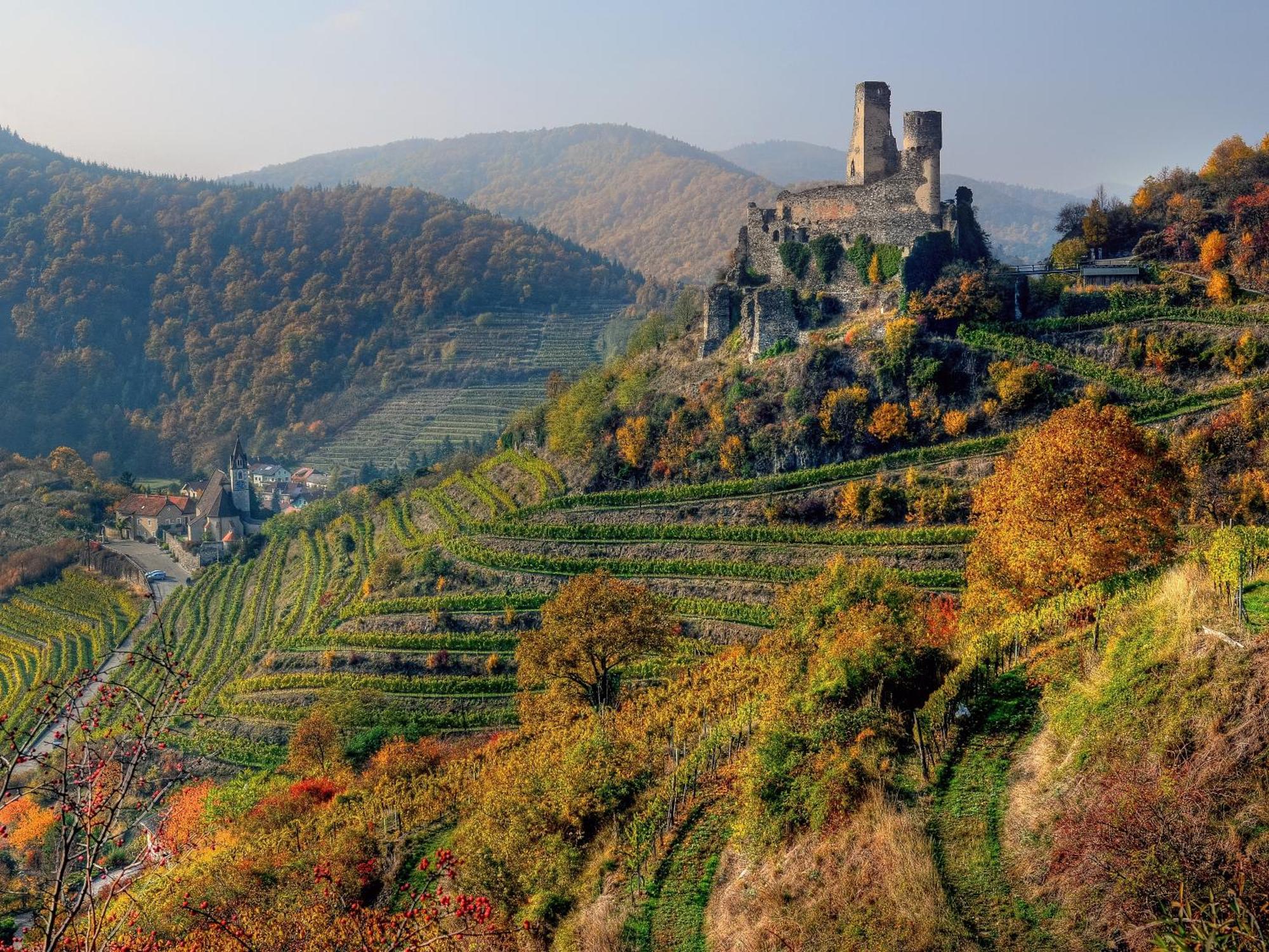 Ferienwohnung Weinbergblick Rohrendorf bei Krems Екстериор снимка