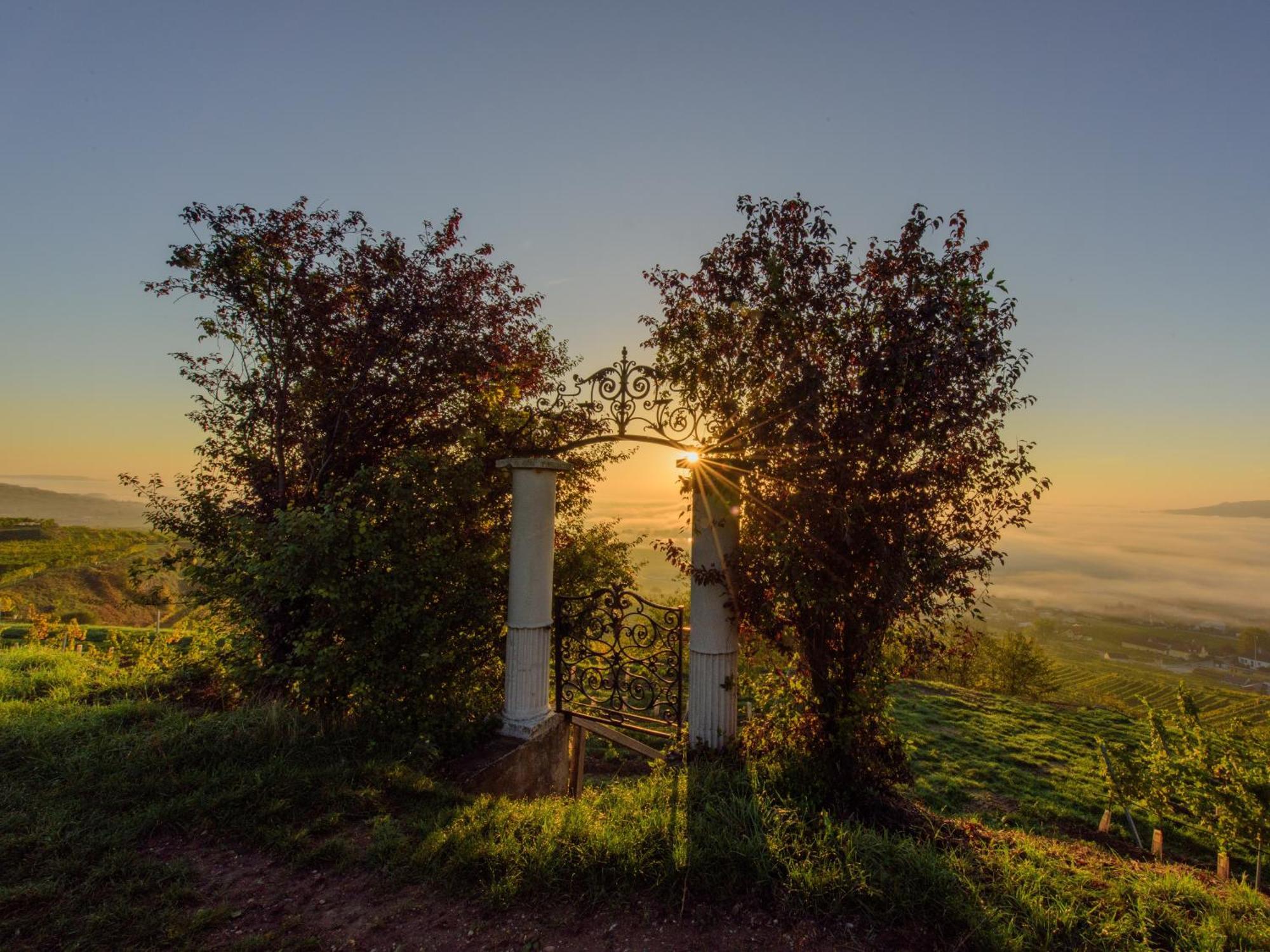 Ferienwohnung Weinbergblick Rohrendorf bei Krems Екстериор снимка